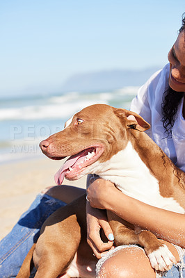 Buy stock photo Shot of a woman spending a day at the beach with her adorable dog