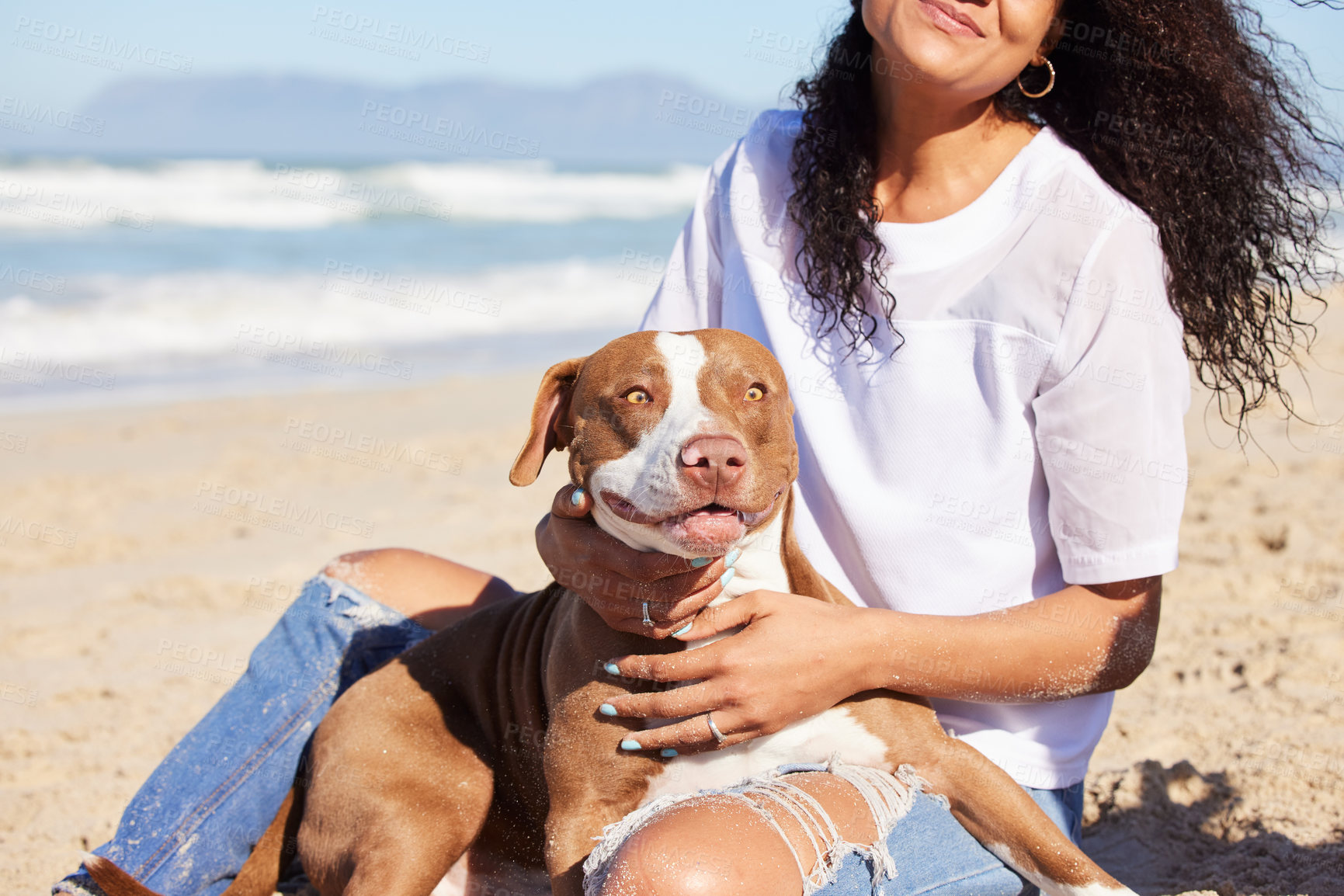 Buy stock photo Pet, playing and dog with woman on beach for exercise, training and adventure outdoors. Owner, relax and happy pitbull with person on holiday, summer vacation and weekend for games, bonding and fun