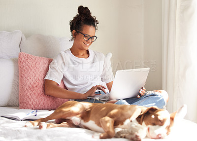 Buy stock photo Dog, happy woman and laptop with tired animal in a bedroom with remote work, pet and rescue in a bed. Home, freelancer and relax with foster in a house fo comfort on a duvet and blanket with rest 