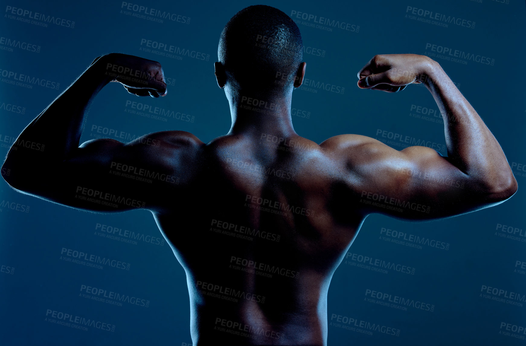 Buy stock photo Flexing, man and back in studio for fitness, wellness and progress or results from exercise. Athlete, bodybuilder and arms or biceps by blue background for workout, muscles and training for show 