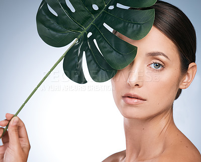Buy stock photo Portrait of a young woman posing behind a plant against a blue background