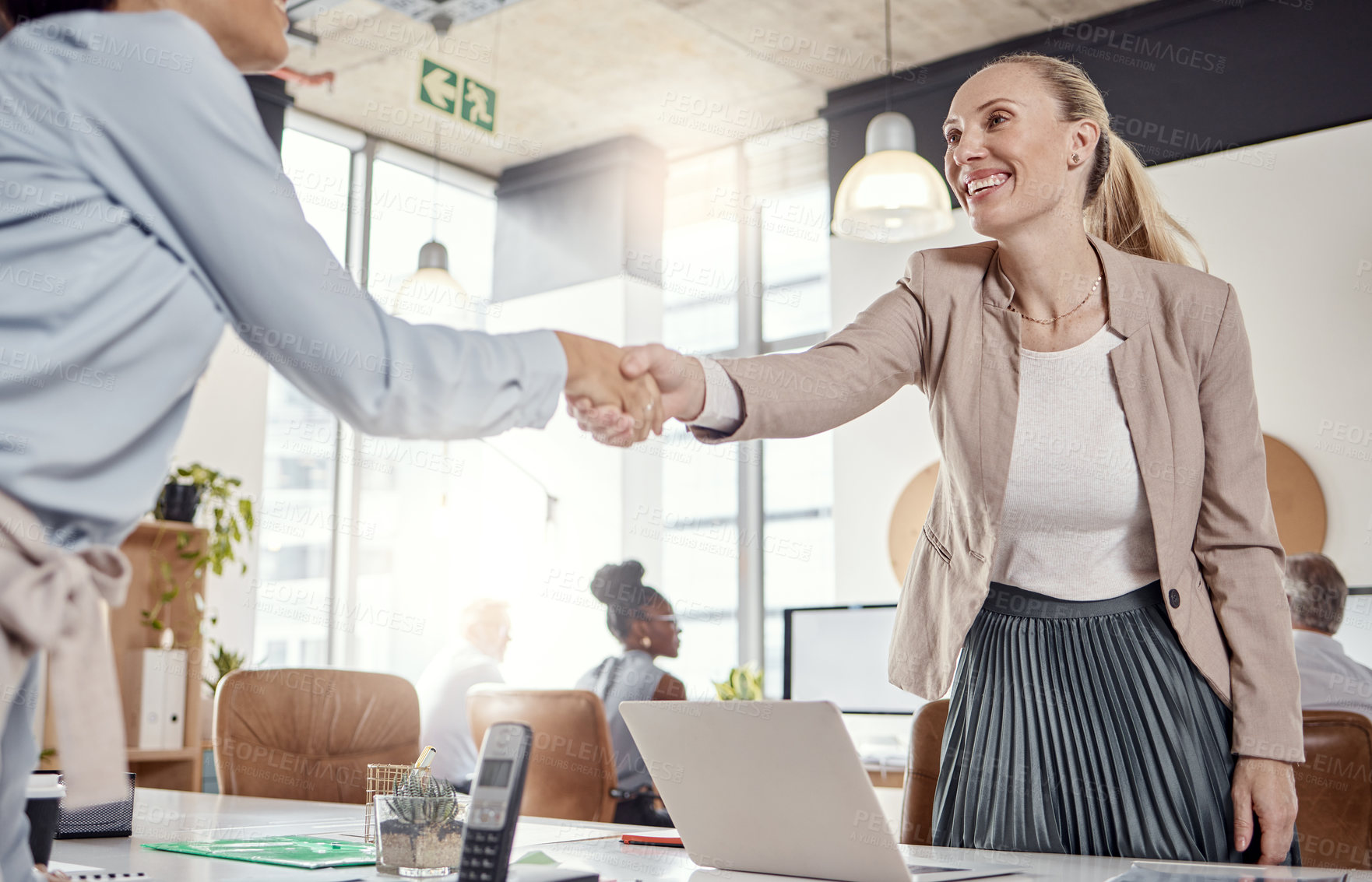 Buy stock photo Shot of a young businesswoman shaking hands with her colleague in a modern office