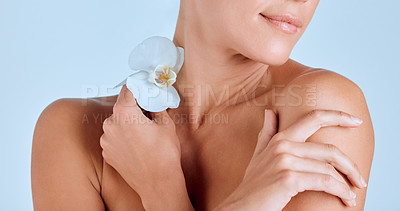 Buy stock photo Woman, hands and flower for skincare, body or natural cosmetics on blue background in studio. Orchid, closeup or female person with plant, petals and wellness on shoulder for nature, glow and beauty