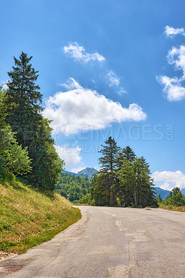 Buy stock photo Curvy open road or street through green tall trees with a cloudy blue sky. Landscape view of a path in a scenic and peaceful location surrounded by nature or lush foliage on a summer day
