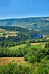 Countryside, farmland and forest - close to Lyon, France