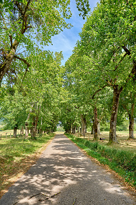 Buy stock photo Countryside road or street leading through green trees and past agriculture fields or farm pasture. Landscape view of quiet, lush French scenery of remote farming meadows with blue sky and copy space