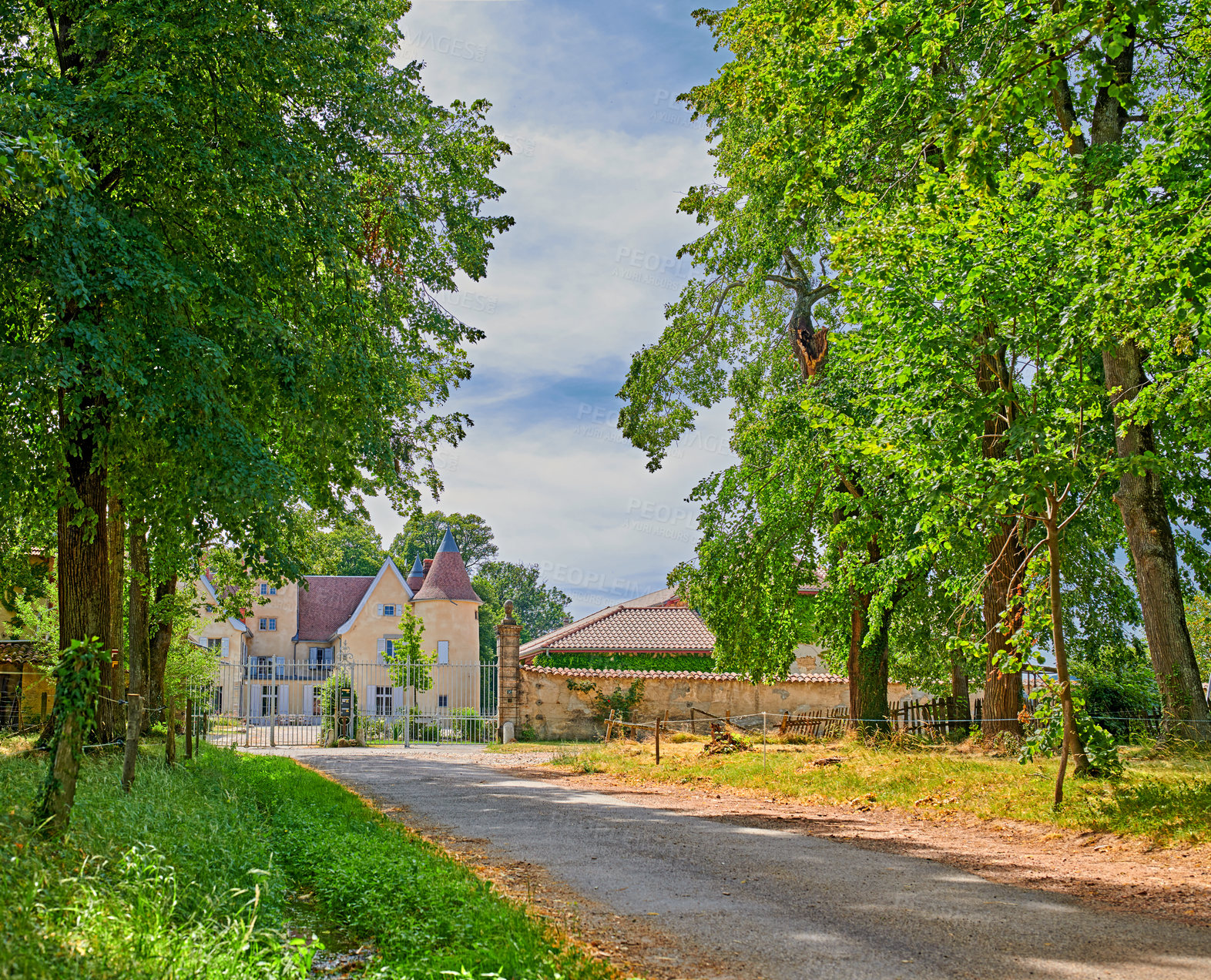 Buy stock photo Beautiful, green trees and grass with a road leading farmland home during spring. Landscape of vibrant and lush countryside nature outside on a relaxing sunny day with a cloudy sky in Lyon, France