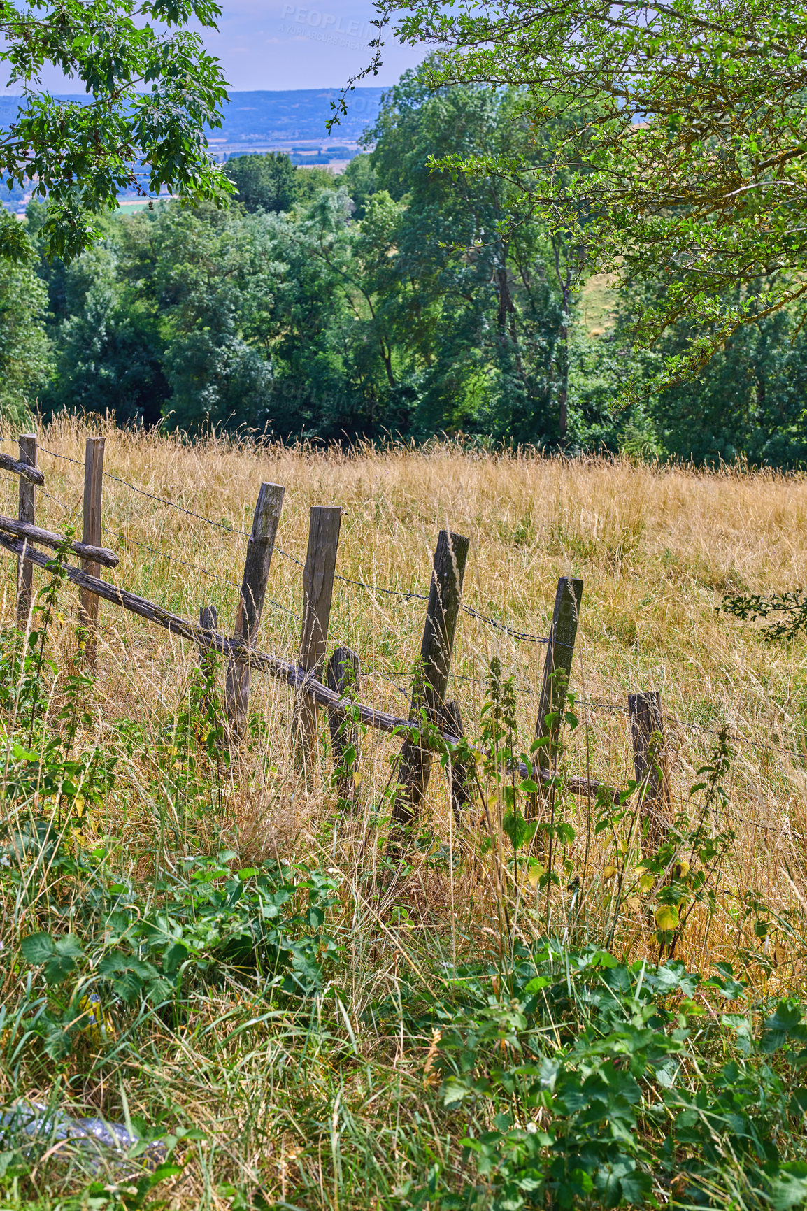Buy stock photo Landscape copyspace view of an empty and secluded farmland in the countryside with grass, trees, and greenery. Scenic view of a remote and deserted field in a natural environment in a rural area