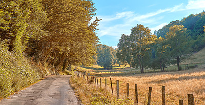 Buy stock photo A countryside dirt road leading to agriculture fields or farm pasture in remote area with serene and vibrant trees. Landscape view of quiet, lush, green scenery of a sustainable farming meadow