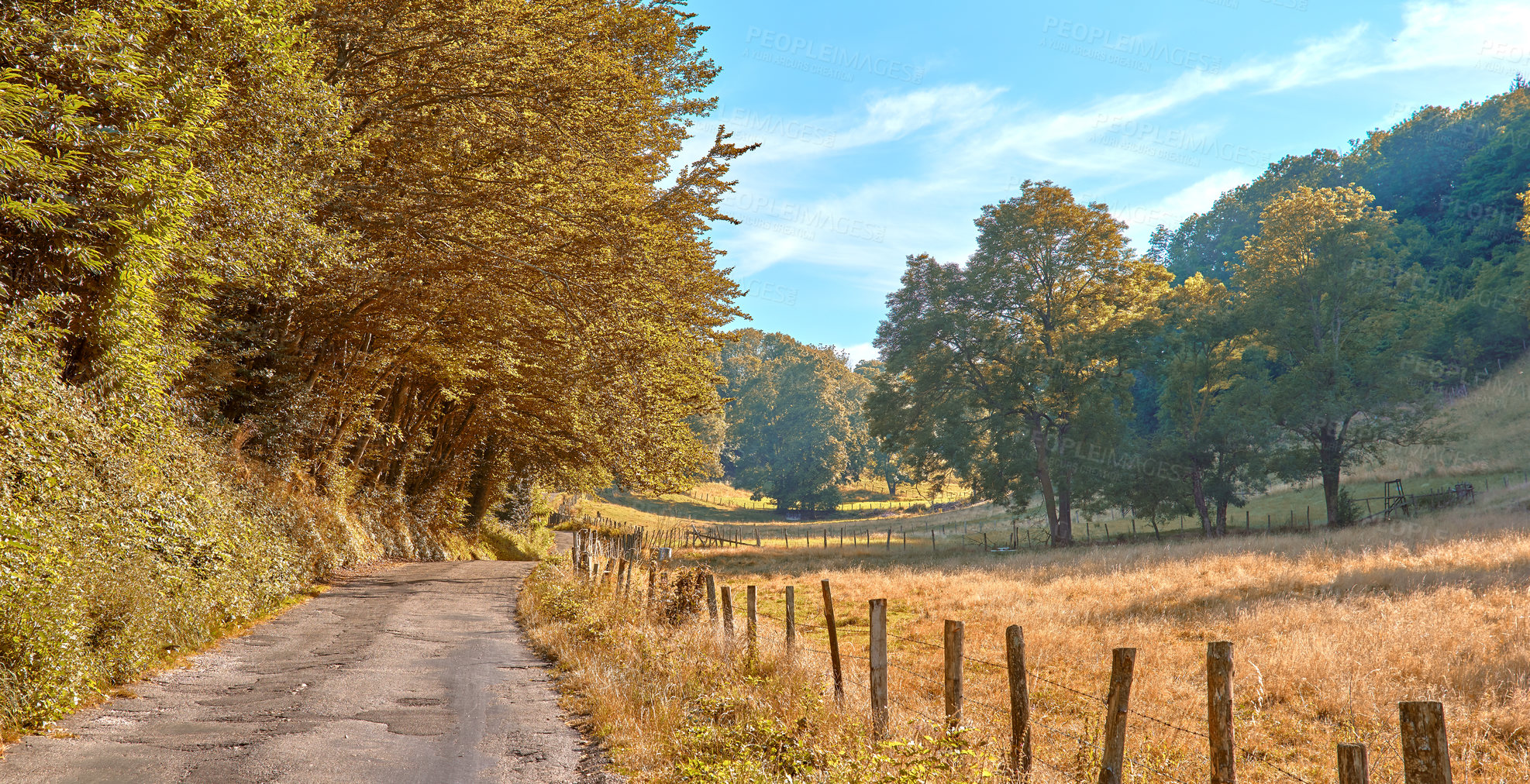 Buy stock photo A countryside dirt road leading to agriculture fields or farm pasture in remote area with serene and vibrant trees. Landscape view of quiet, lush, green scenery of a sustainable farming meadow