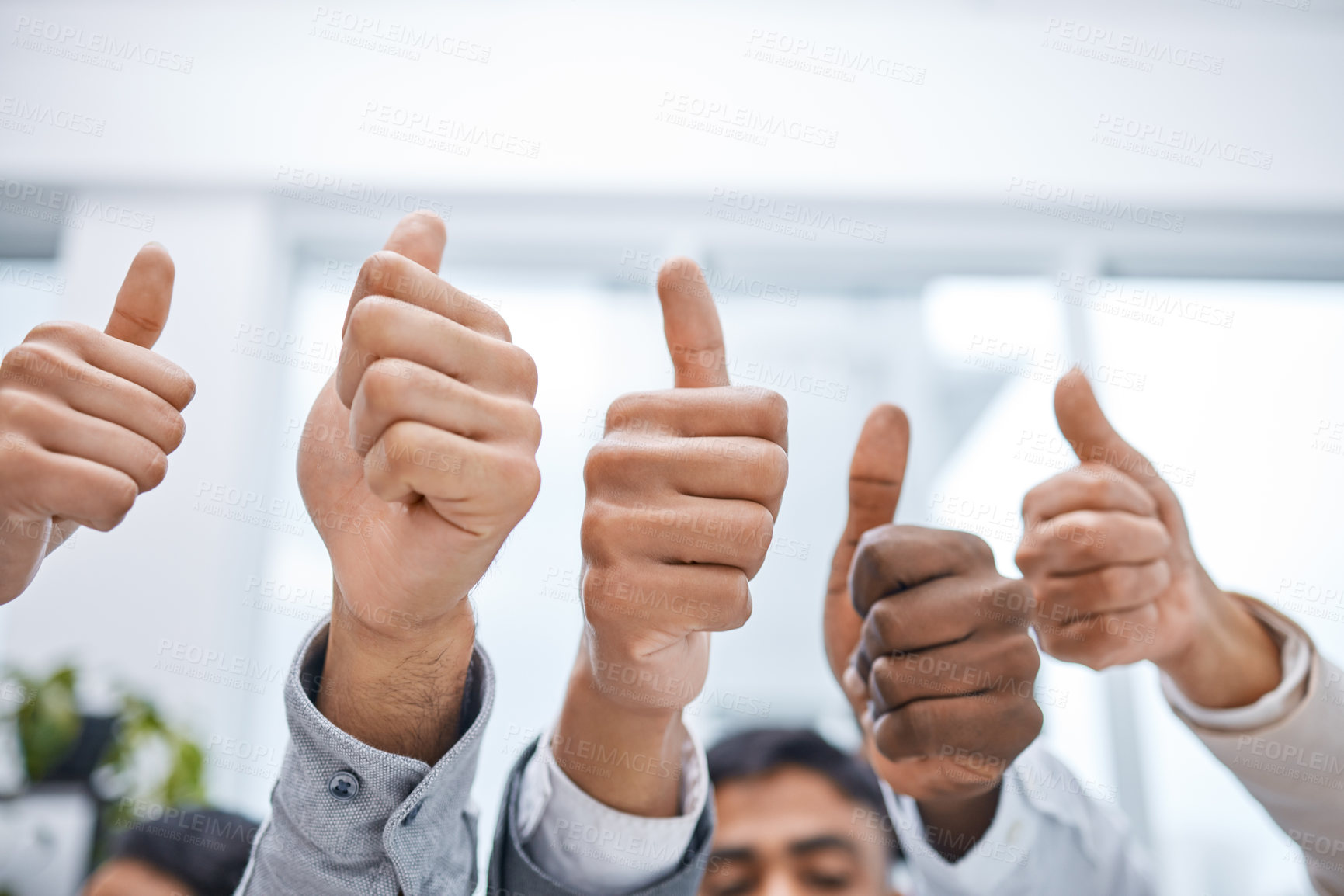 Buy stock photo Shot of a group of businesspeople showing thumbs up