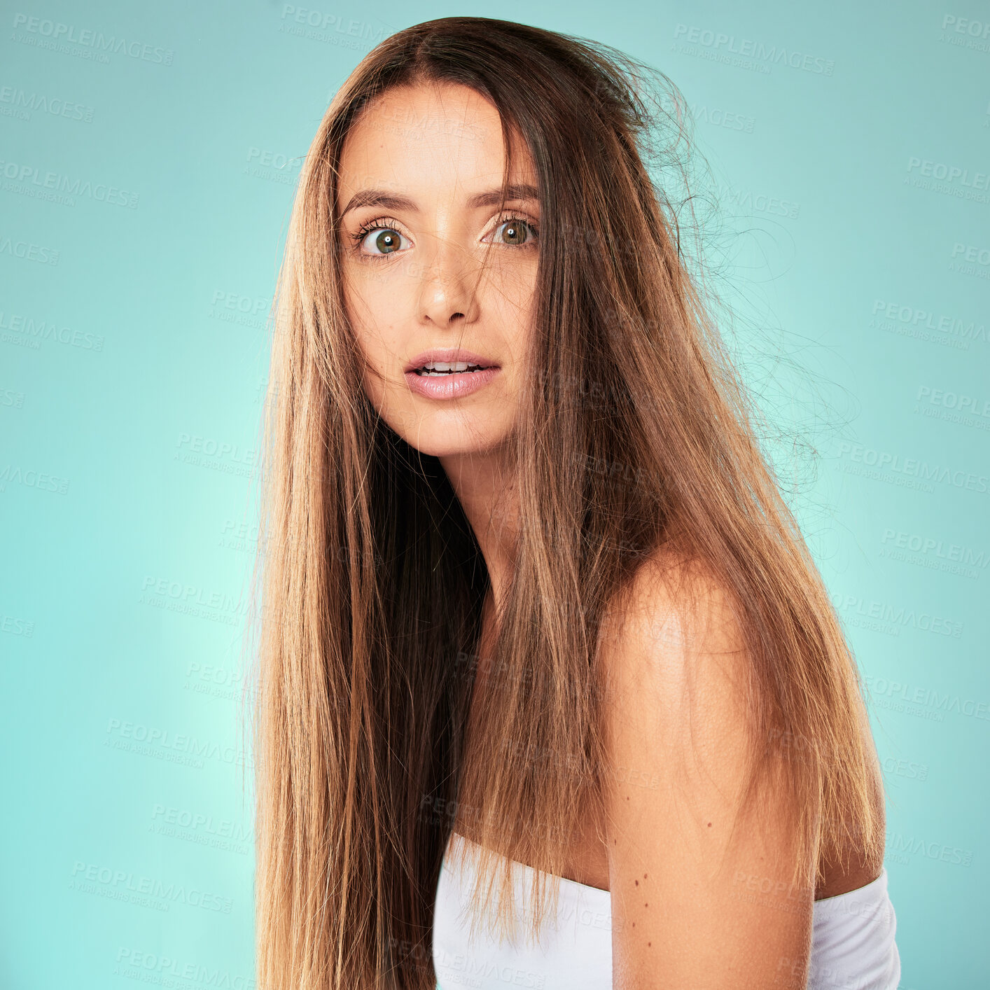 Buy stock photo Woman, portrait and shock with hair, wild and beauty for dandruff or scalp treatment on blue background. Damage, sad frustrated female person, split end and texture for fizz or messy hairstyle