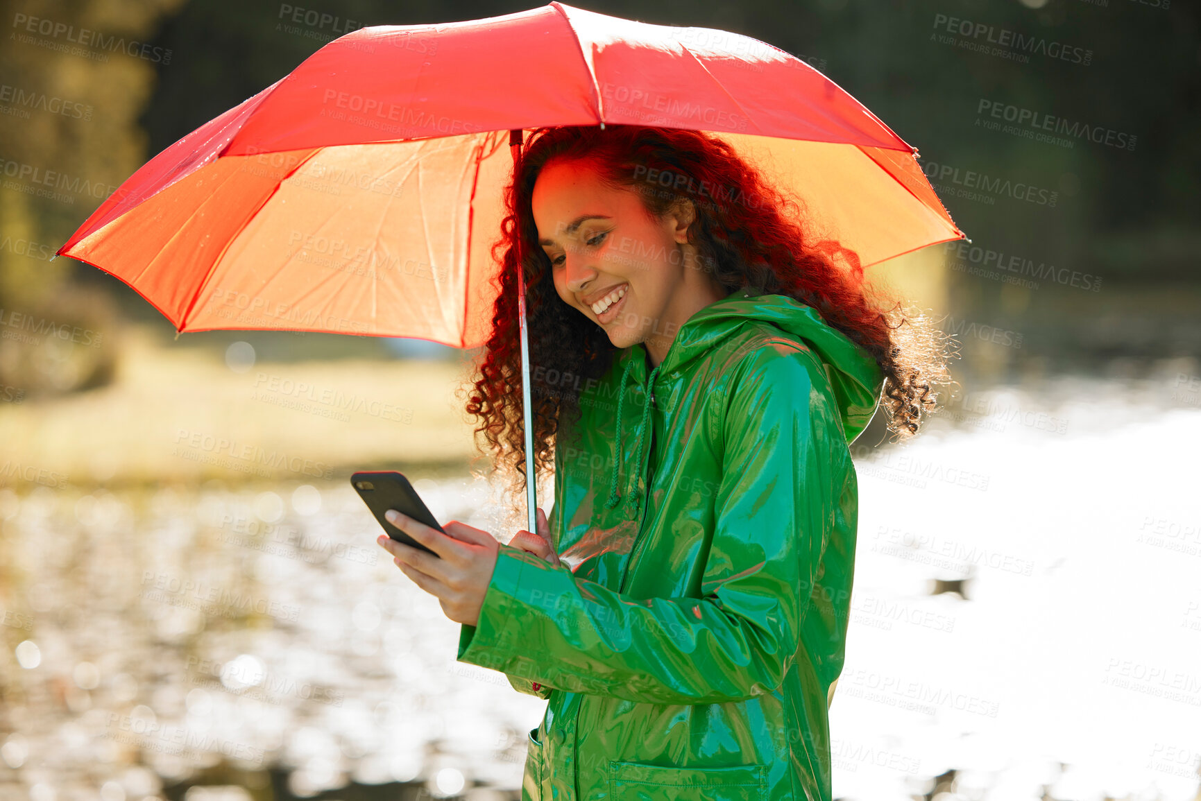 Buy stock photo Rain, phone or happy woman with umbrella in park for travel, adventure and journey in nature. Winter, storm and girl person in forest smartphone for online, map and taxi, request or chauffeur service