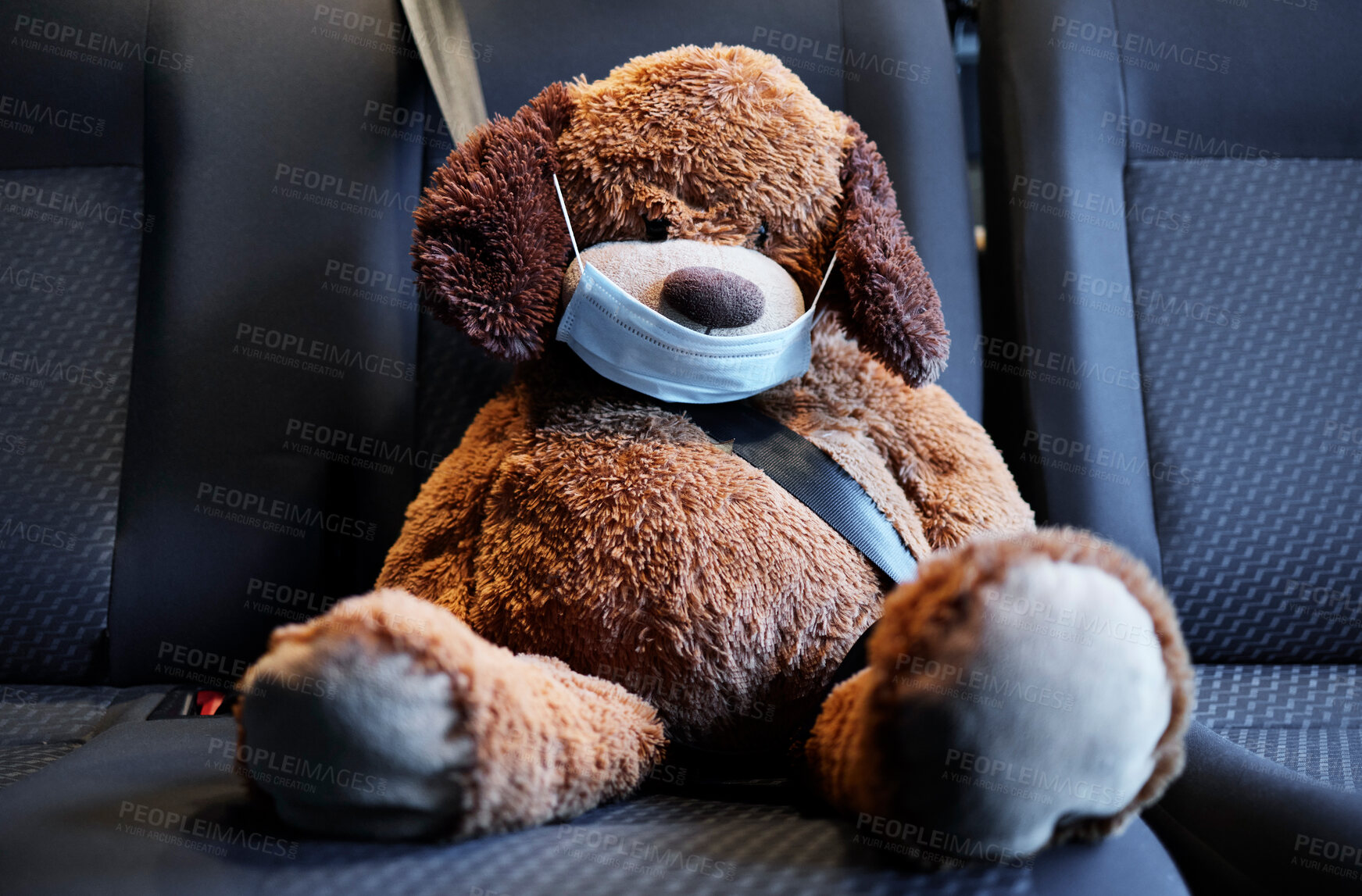 Buy stock photo Health, mask and teddy bear in car with seatbelt for safety, disease protection or awareness. Empty, transportation and toy in backseat for medical care, virus prevention or wellness in vehicle