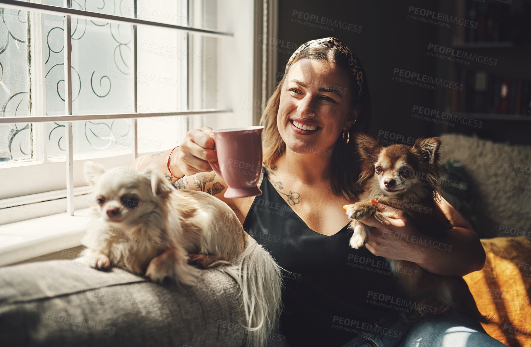 Buy stock photo Woman, home and dogs in living room with morning coffee and relax with calm and break with pet and care. Love, mug and tea with animal, chihuahua and person together on the weekend with bonding