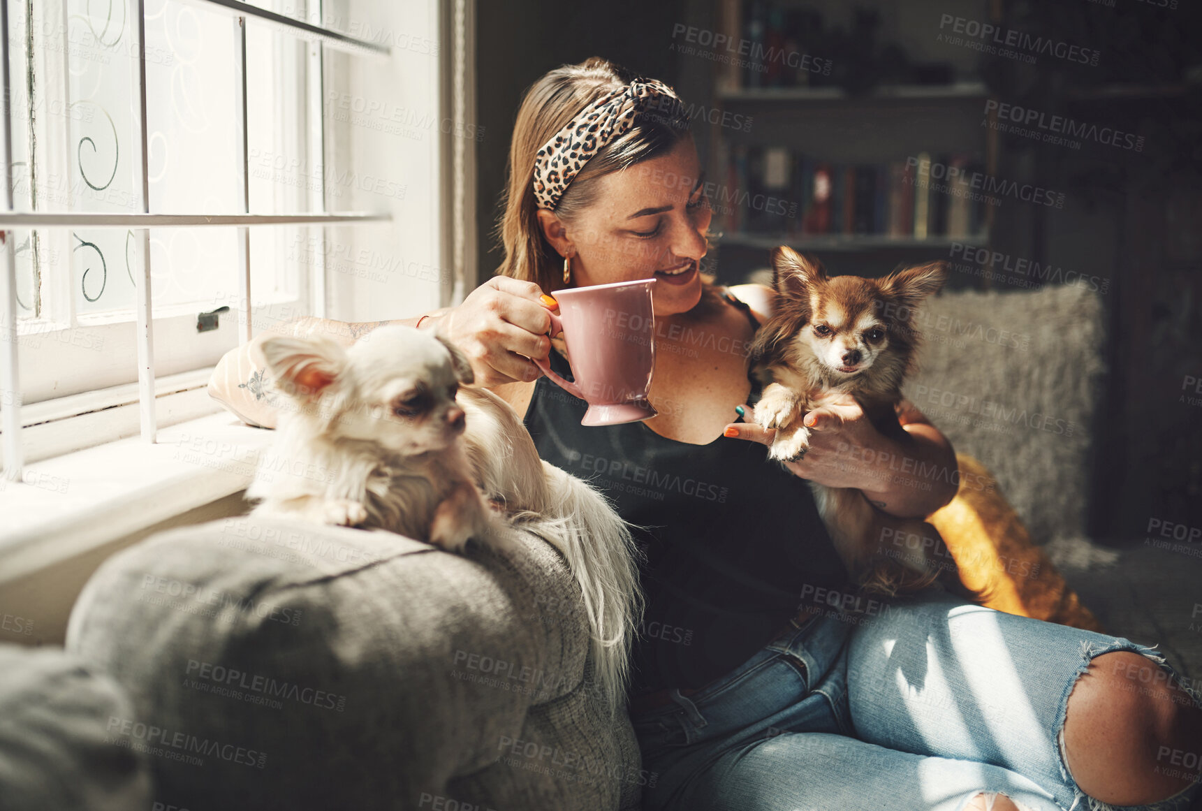 Buy stock photo Woman, coffee and dog on home couch in morning with relax, calm and break with pet and care. Love, smile and tea with animal, chihuahua and person together on the weekend with bonding and comfortable