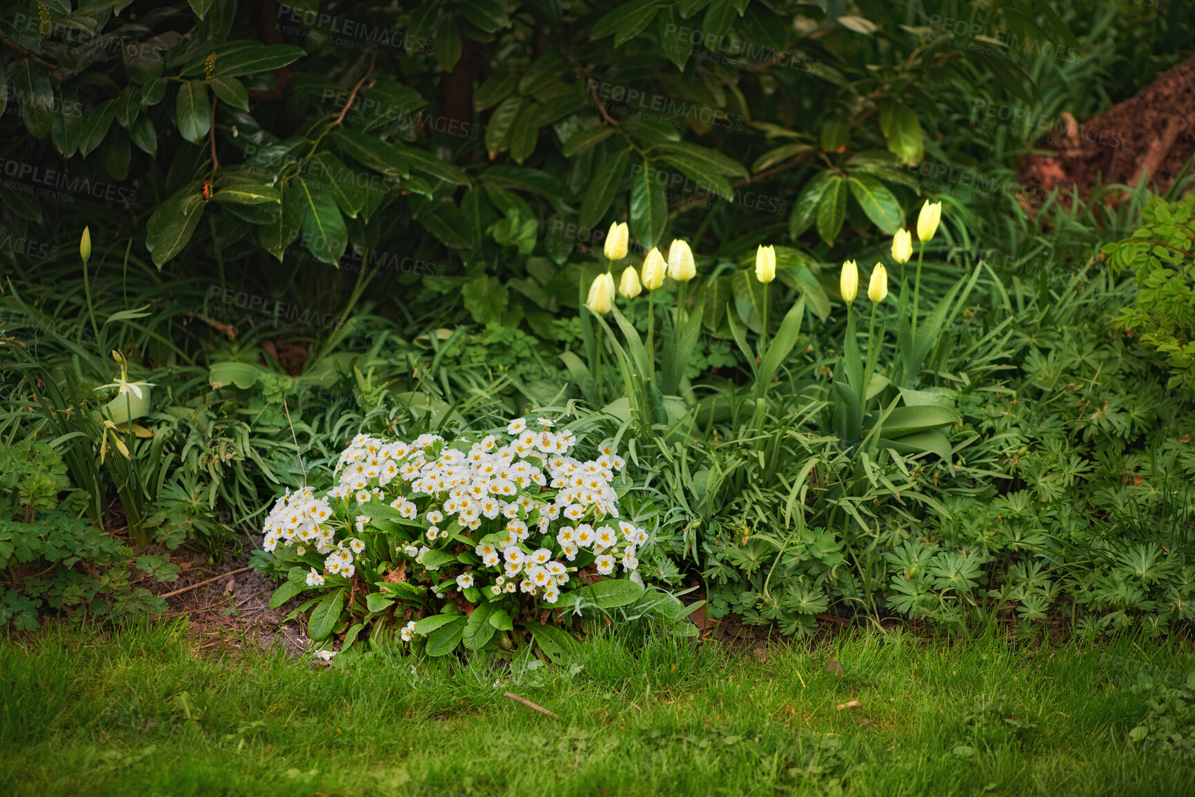 Buy stock photo Garden in early spring