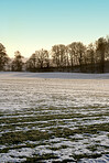 Danish winter landscape