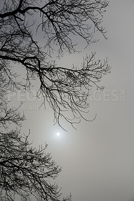 Buy stock photo A photo of winter landscape