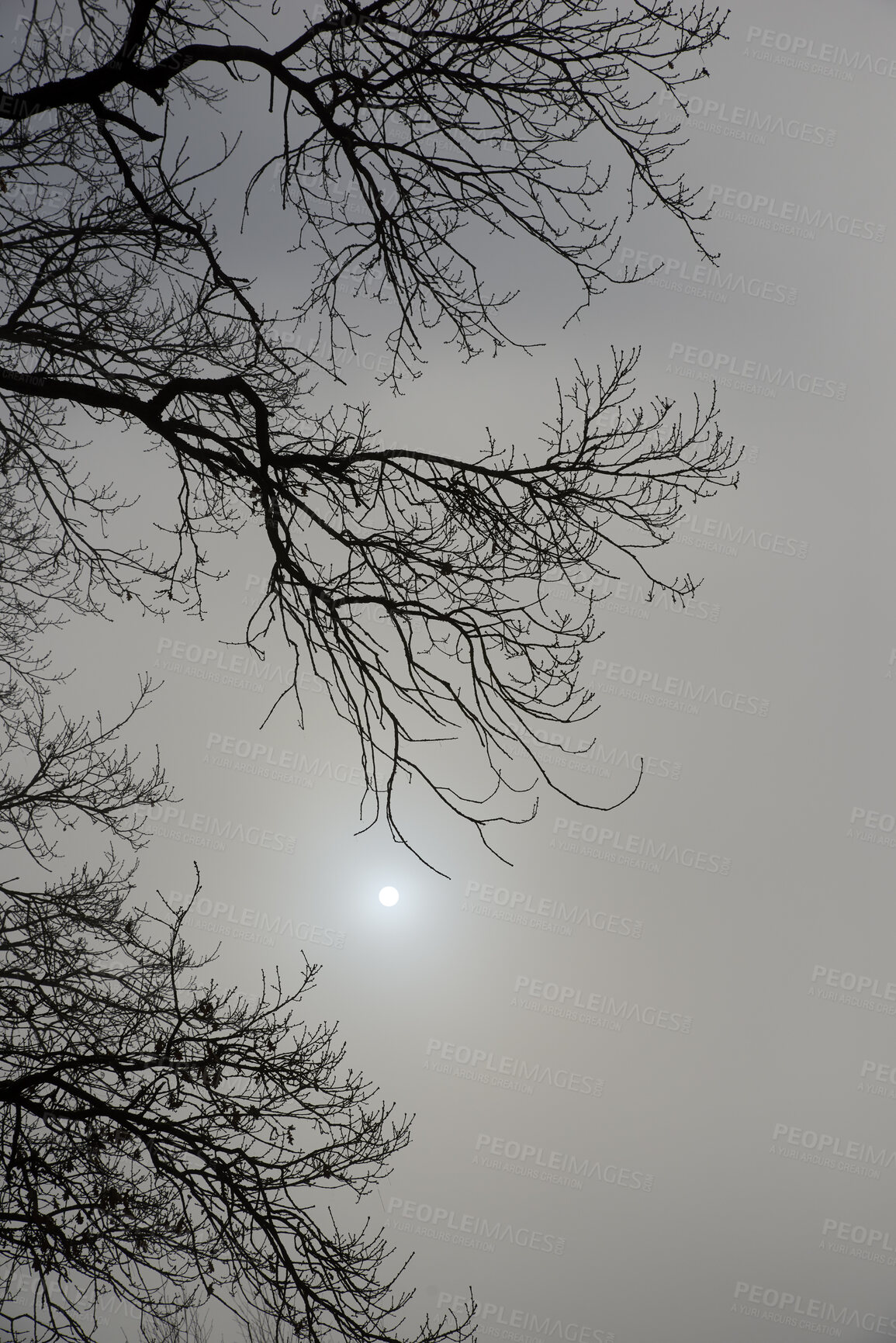 Buy stock photo A photo of winter landscape