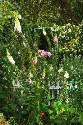 Buy stock photo A series of beautiful garden photos