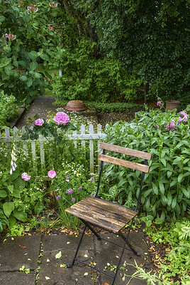 Buy stock photo Chair in a lush garden for a quiet, relaxing view and fresh air outside. Vibrant landscape of a park or backyard with a seat between flowering plants. A peaceful spot area in green environment