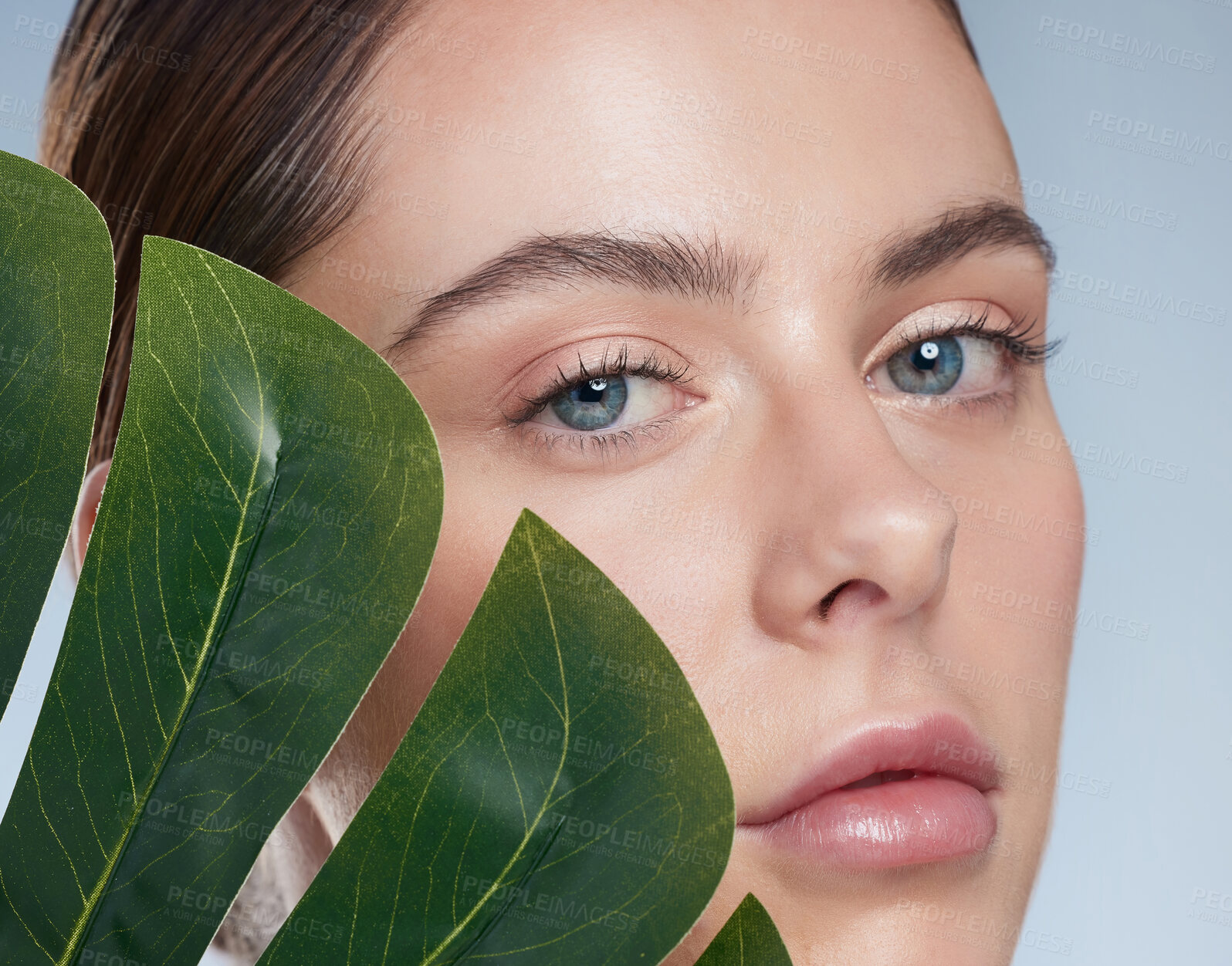 Buy stock photo Portrait, nature and palm leaf for woman in studio, healthy and smooth skin, plant and product for treatment. Blue background, soft and shine of face with spa for anti aging, dermatology and skincare