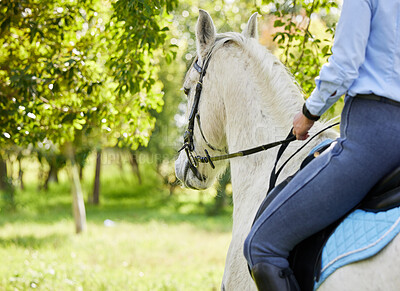 Buy stock photo Shot of a unrecognizable female riding a horse in a forest