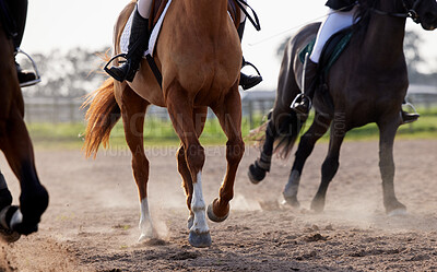 Buy stock photo Cropped shot of a group of unrecognizable female jockeys riding their horses out on the farm