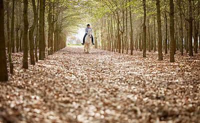 Buy stock photo Full length shot of an unrecognisable woman horseback riding through the forest during the day