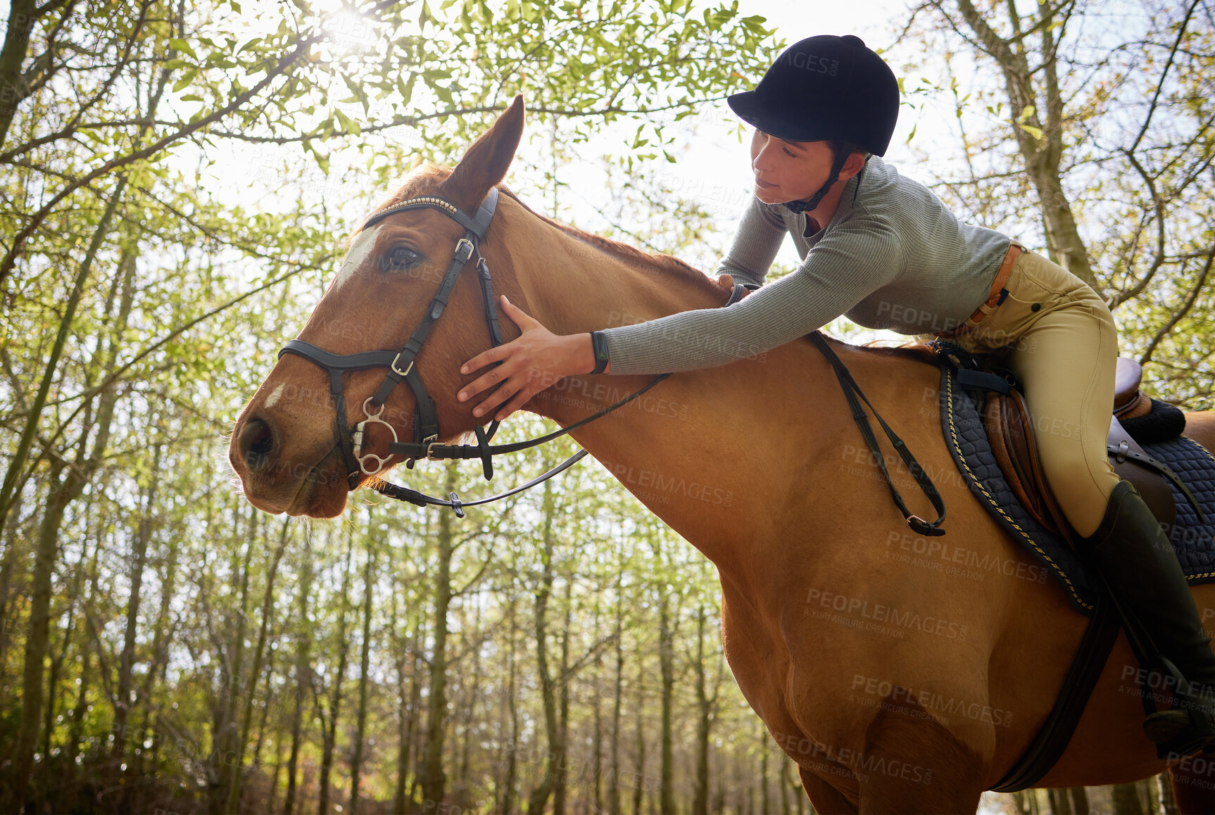 Buy stock photo Shot of an attractive young woman petting her horse during a ride in the forest