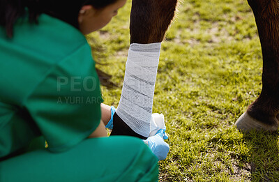 Buy stock photo Shot of a unrecognizable veterinarian putting a bandage on a horse on a farm