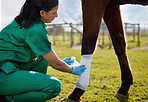 Vets also need to show a passion for helping animals