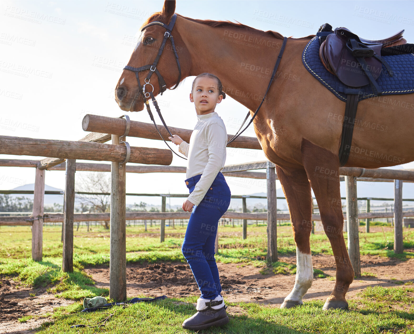 Buy stock photo Full length shot of an adorable young girl standing with her horse outside on the ranch