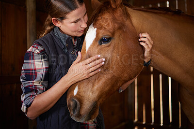 Buy stock photo Shot of a young woman petting a horse in a barn