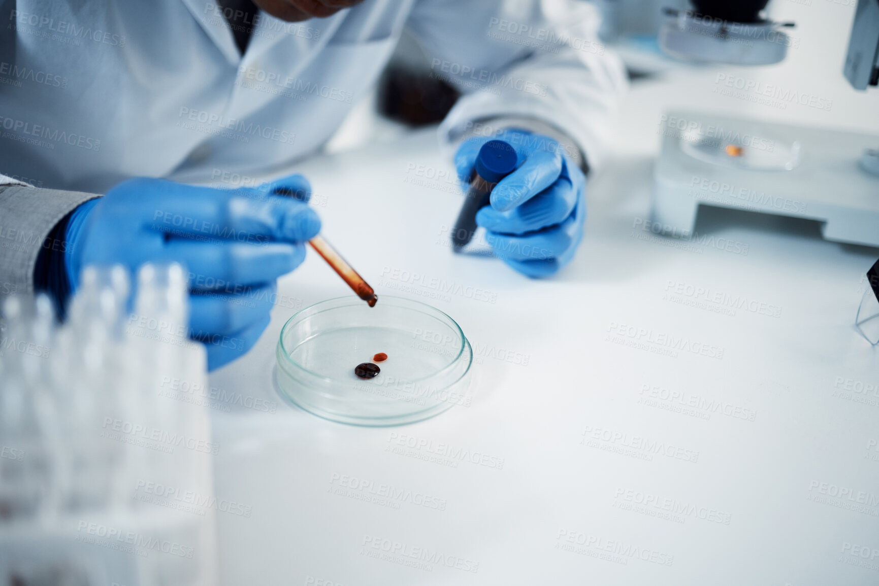 Buy stock photo Scientist, hands and blood with petri dish for test in lab with sample for dna or forensic biology. Microbiologist, science and innovation for vaccine or person with gloves for chemistry career.