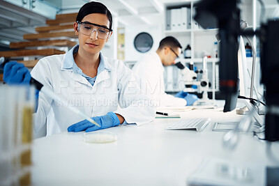 Buy stock photo Woman, scientist and research in laboratory with pipette for medical innovation, health care and experiment for vaccine. Female worker, petri dish and exam in workplace for science and serum analysis