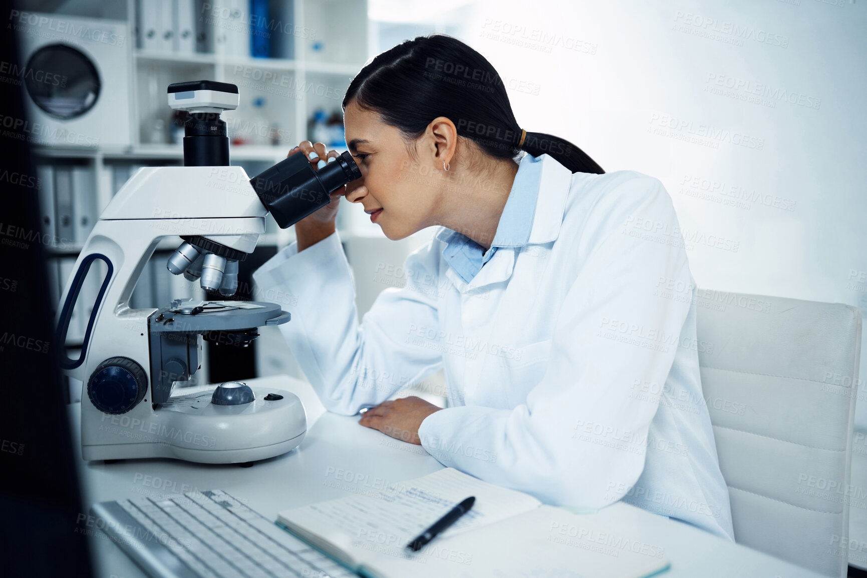 Buy stock photo Microscope, science and woman in laboratory for medicine research, analysis and dna testing. Healthcare, biotechnology and female chemist with medical equipment for study, sample and examine virus