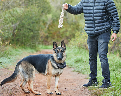 Buy stock photo Shot of a unrecognizable man playing with his adorable german shepherd at the park