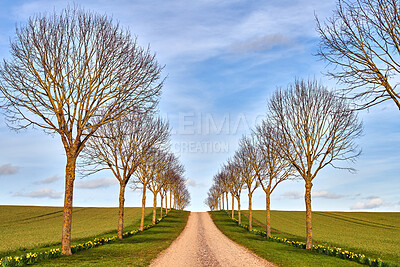 Buy stock photo Countryside dirt road between trees grass and blue sky background. Tree path on green hills in a clean nature environment. Single roadway for traveling along a beautiful scenic meadow land in Germany