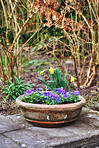 Jar in the garden