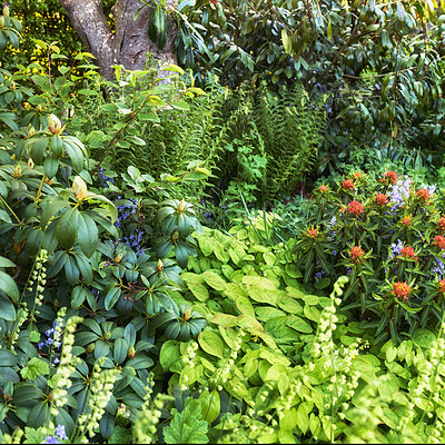 Buy stock photo A series of beautiful garden photos