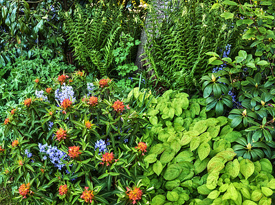 Buy stock photo A photo of beautiful garden details