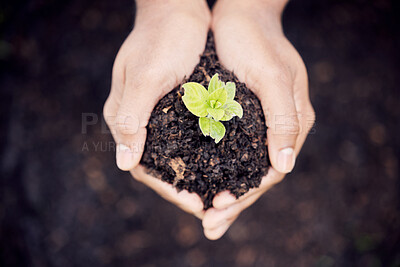 Buy stock photo Growth, hands and plant in soil for earth, environment or closeup on gardening care or working in agriculture, farming or nature. Farmer, hand and worker growing green, leaf and life in spring