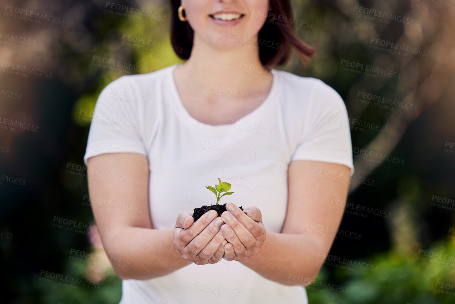 Buy stock photo Plants growth, person or hands with tree life for development, environment care or gardening. Green leaves, eco friendly and support agriculture sustainability, volunteer for earth day and charity
