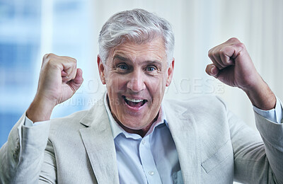 Buy stock photo Shot of a mature businessman looking cheerful