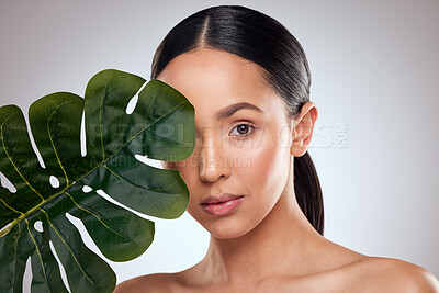 Buy stock photo Studio portrait of a beautiful young woman posing with a leaf against a grey background