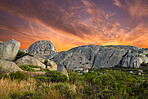 Boulders and wilderness