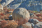 Boulders and wilderness