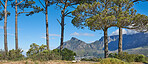 Table Mountain and surroundings  